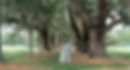 taylorandreeves-5082.jpg