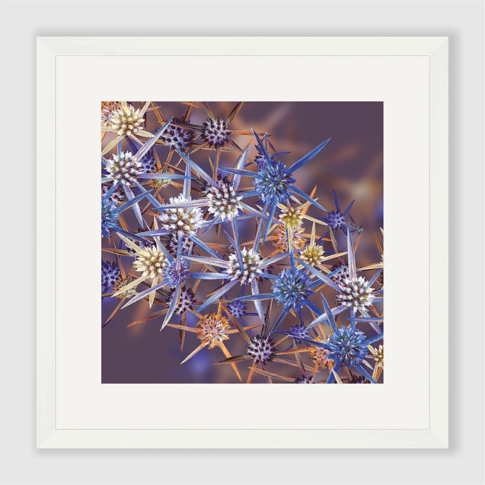 Thumbnail: Blue Eryngiums Art Print