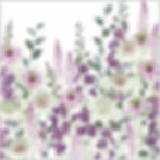 Heavenly Dawn | A Morning Flower Meadow Garden with Pink and White Flowers