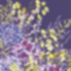 Lingering Beauty | Dried Flower Spray with Honesty, Hydrangeas, Lavender and Grasses