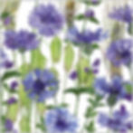 Cornflowers | Wildflower Meadow Art with Blue Cornflowers, Oats and Catmint