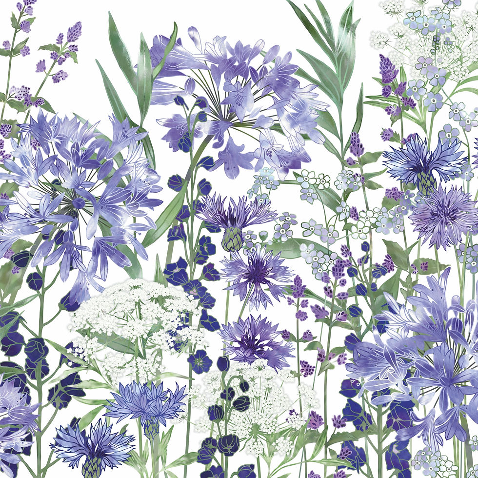 Thumbnail: Agapanthus Meanderings Canvas Print