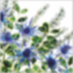 Holly Bouquet | A Floral Spray of Holly Leaves, Sea Holly Flowers and Pine Needles