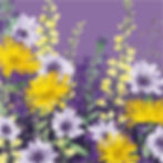 Twilight Moments | Summer Flower Meadow Garden with Yellow Aster Daisies, Baptisia and Blue Cupidone