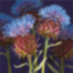 Scottish Thistle | Floral Art Licensing