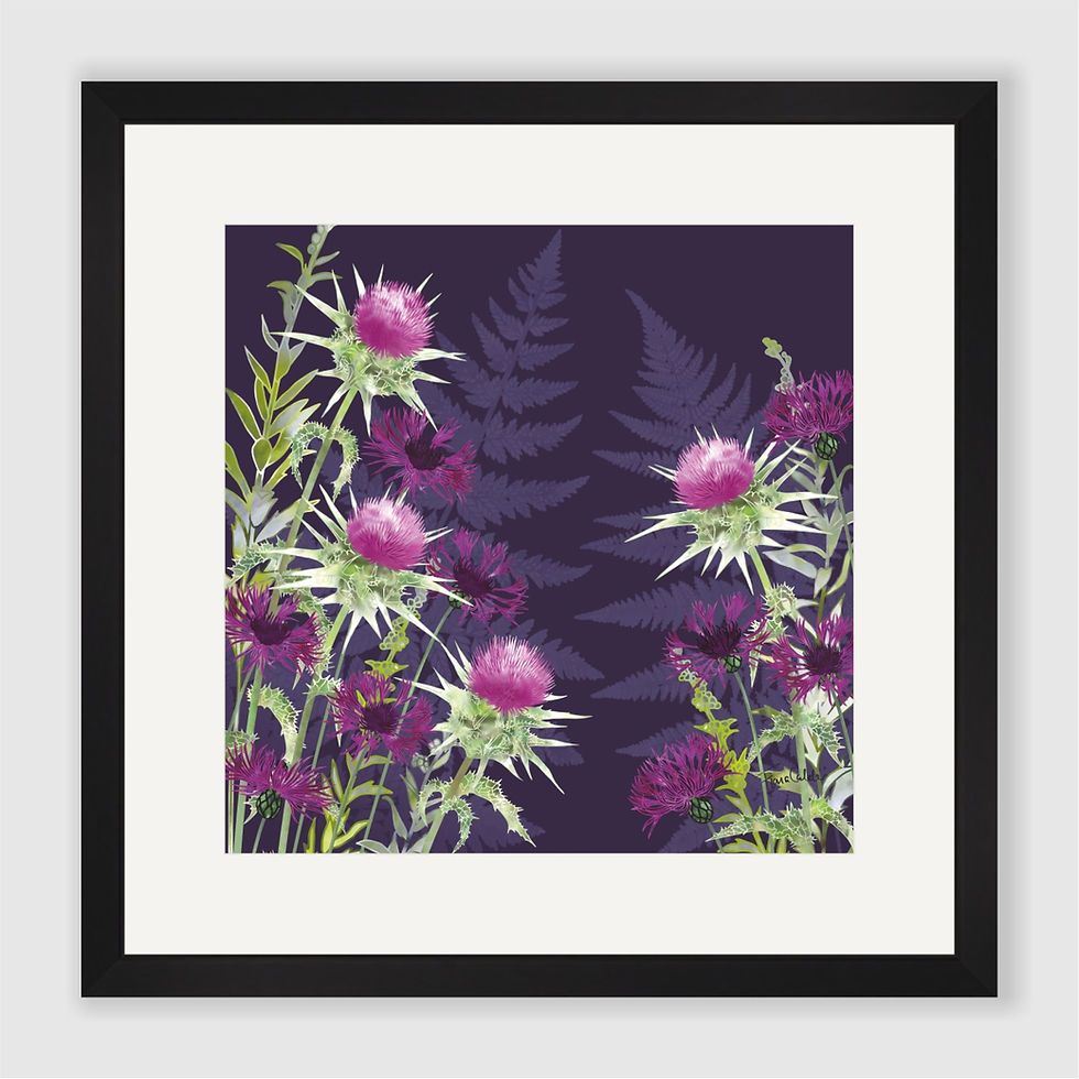 Thumbnail: Evening Thistle Ramble Art Print