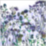 Heavenly Hedgerow | Blue Wildflower Art with Cow Parsley, Centaurea and Thistle Flowers
