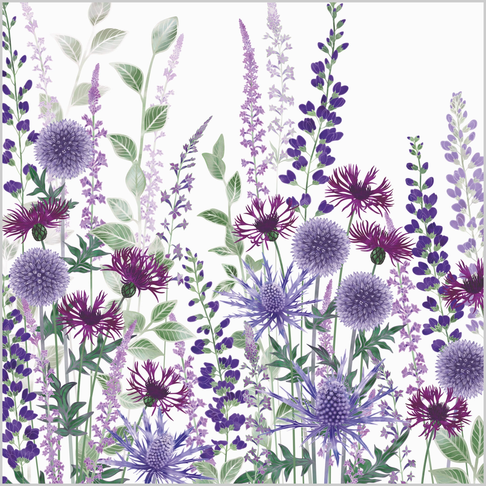 Nature's Jewels Card