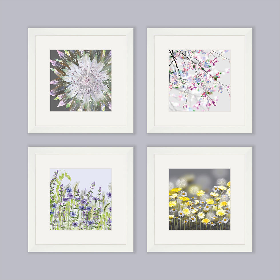 Thumbnail: Starburst Astrantia Art Print