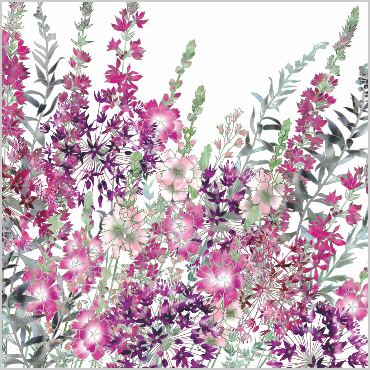 Floral blank greeting card with heucherella bridget bloom, purple loosestrife, sidalcea and allium flowers.