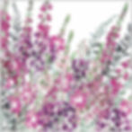 Pink Riot | A Cottage Garden Artwork with Pink Flowers