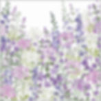 Floral Symphony | Flower Meadow with Ammi, Larkspur, Catmint and Cluster Lilies