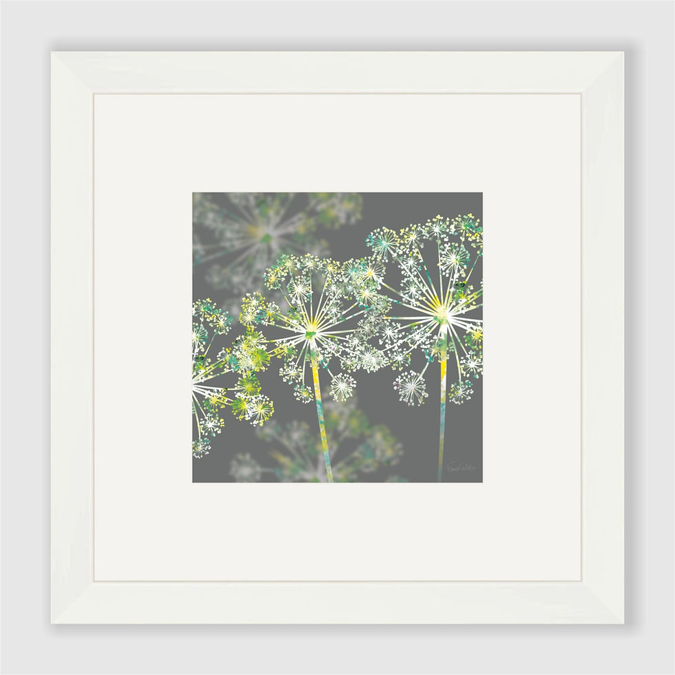 Thumbnail: Apiaceae Art Print