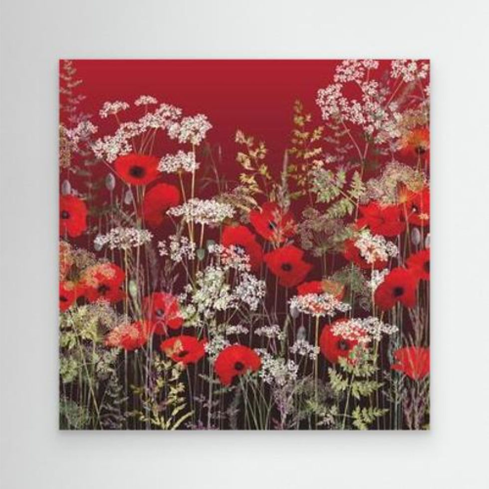 Thumbnail: Poppy Field at Sunset Canvas Print