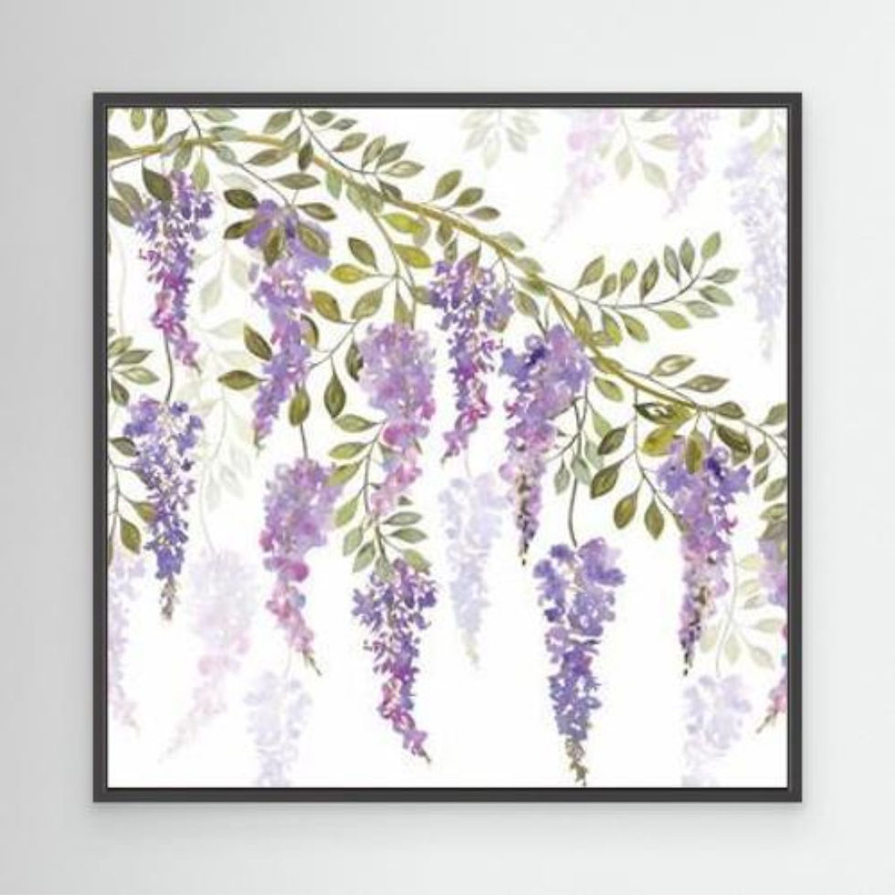 Thumbnail: Wisteria Blossoms Canvas Print