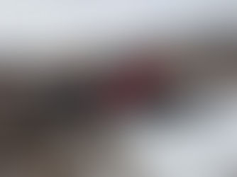 【新車納車】「ピステンブーリー」が仲間入りしました!