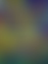 ABSOLUTE NOTHINGNESS - Edward Hongyi Jia Solo Exhibition Holborn Gallery