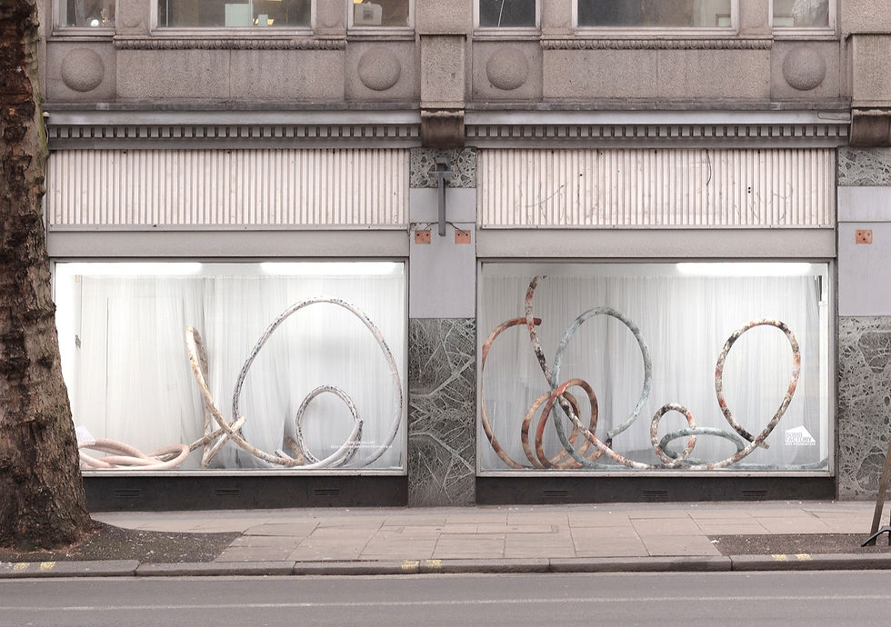 JOANNA WIERZBICKA, 2024