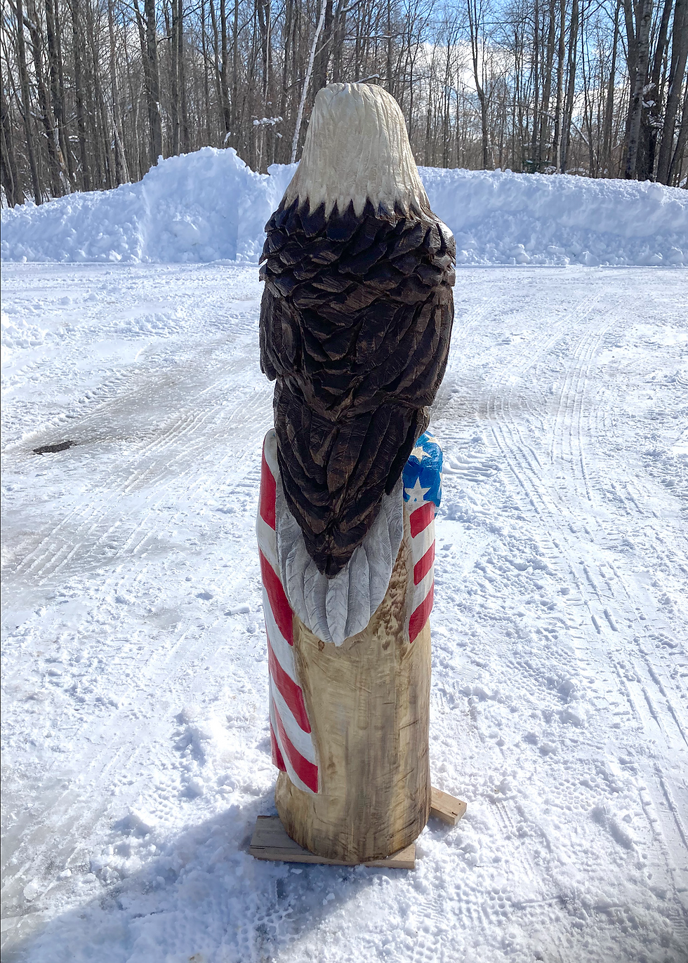 Eagle Flag Back