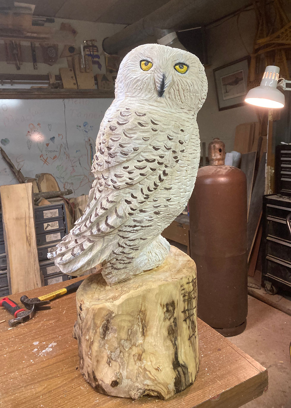 Snowy Owl