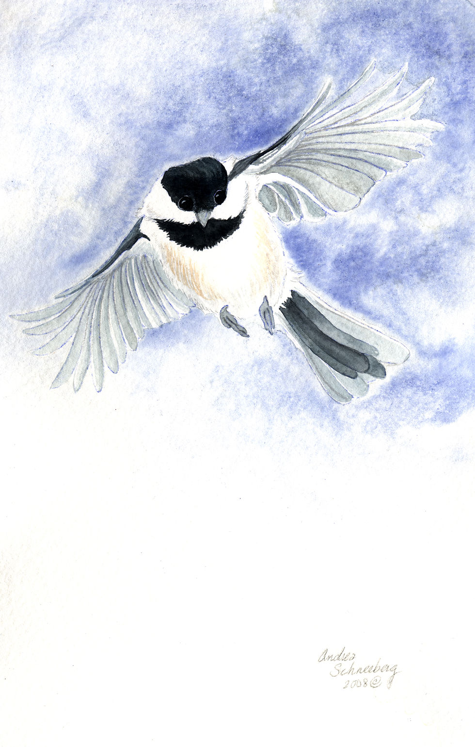 Flying Chickadee #1