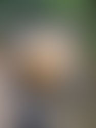 ROUTINIERTE LÜCKENFÜLLER