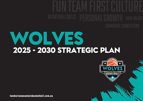 2025-2030 STRATEGY.pdf