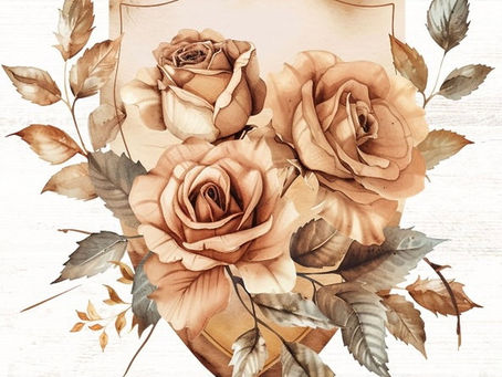 🛡️The Shield of Faith🛡️