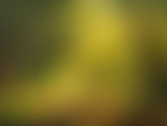 ✨Joy is strength✨