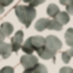 natural, eucalyptus, earthy.jpg