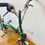 Thumbnail: Brompton M6L (C Line Explore) - Racing Green 