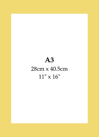 A3 Edible Custom Image