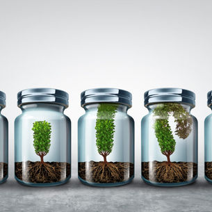 Sales Growth Bottled Up? How Tech Company Leaders Can Break Free and Find Renewed Success