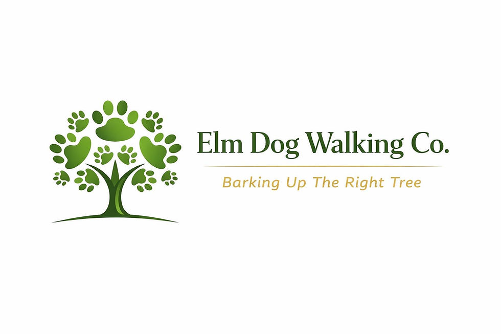Elm Logo banner.jpg