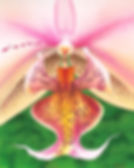 INSIDE ORCHID