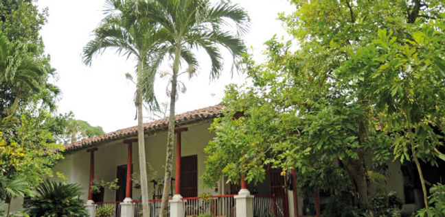 palmas.jpg