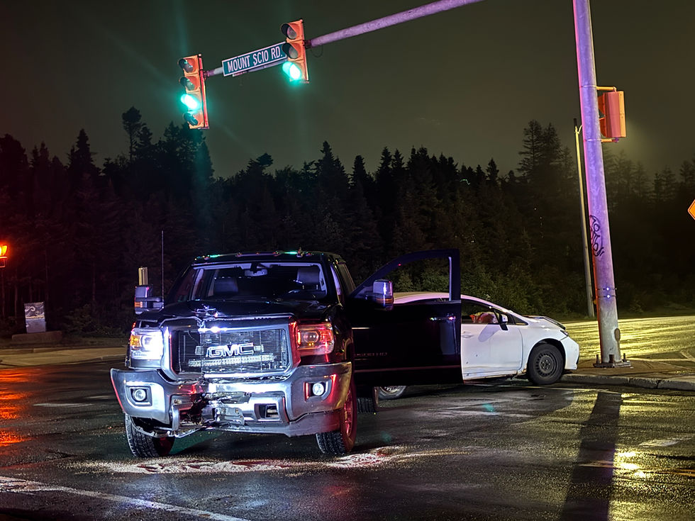 Police Dog Deployed After Hit-And-Run Collision in St. John’s Early Thursday Morning
