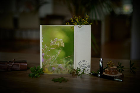 Fotografie-Grußkarte, planko mit Umschlag.