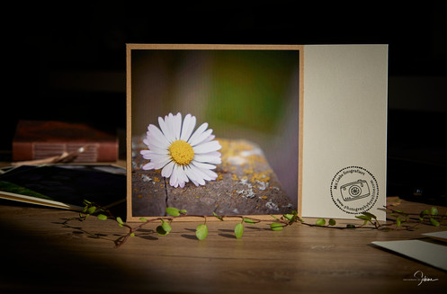 Grußkarte "Gänseblümchen"