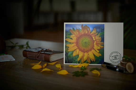 Fotografie-Grußkarte, planko mit Umschlag.