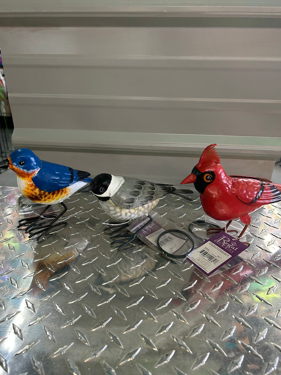 Thumbnail: Songbird Decor - Bluebird