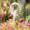 Thumbnail: Angel Sitting on Crescent Moon Indoor/Outdoor