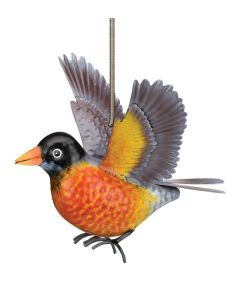 Bird Bouncie - Robin