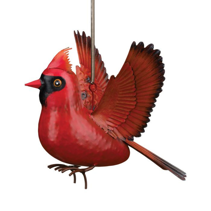 Bird Bouncie - Cardinal