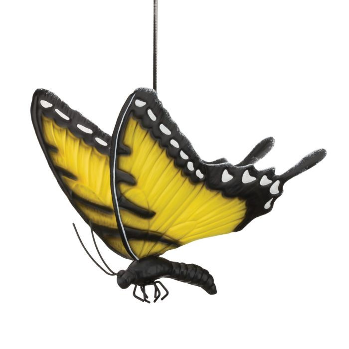 Butterfly Bouncie - Swallowtail