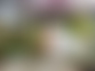 Jannine & Kabriel’s Stylish Atlanta Wedding at Westside Warehouse