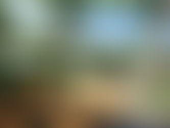 The Future of Sustainable Living in Real Estate