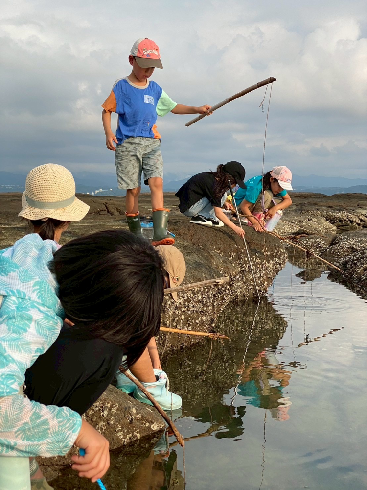拾った流木で釣竿を作って、蟹釣り！