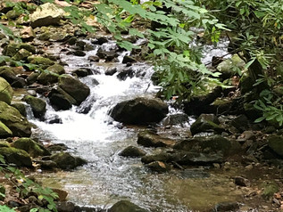 Water and the Word: Exaltation