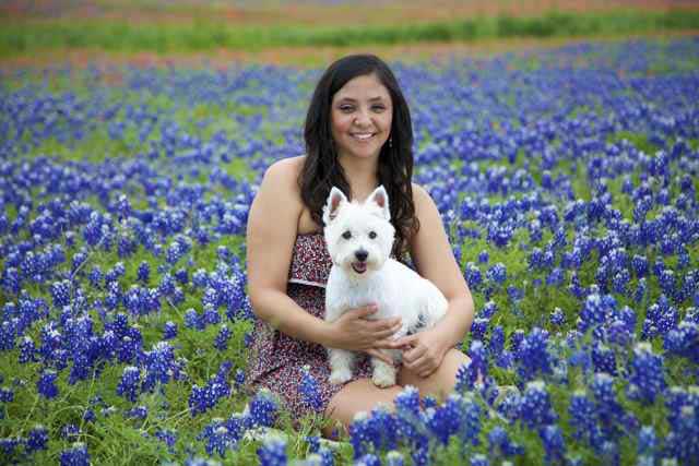 Dog training at K9 Mastery in Bastrop, TX, photo 68